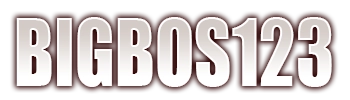 BIGBOS123 LOGO